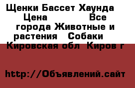 Щенки Бассет Хаунда  › Цена ­ 25 000 - Все города Животные и растения » Собаки   . Кировская обл.,Киров г.